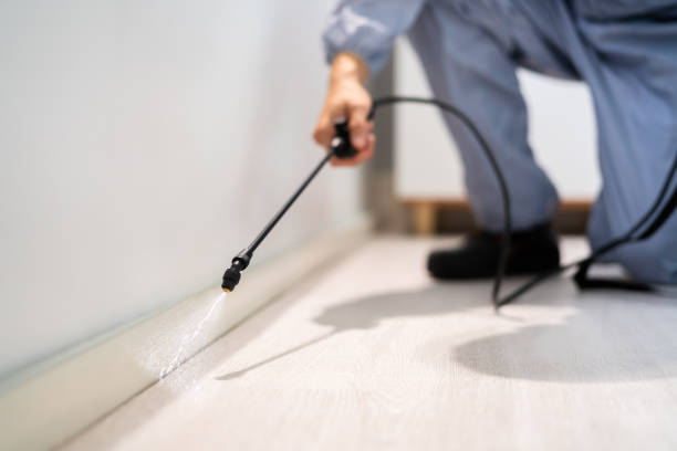 Licensed Mosquito Control service in Astor, FL - Show Me Pest Control