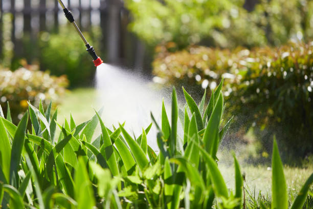 24/7 Emergency Mosquito Control experts in Astor, FL