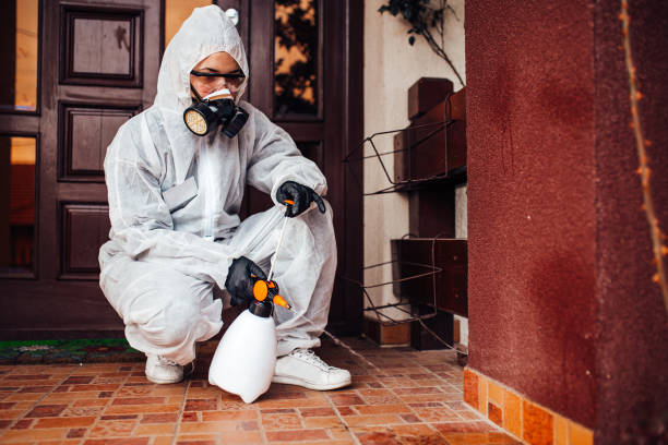 Reliable Mosquito Control contractor in Astor, FL by Show Me Pest Control